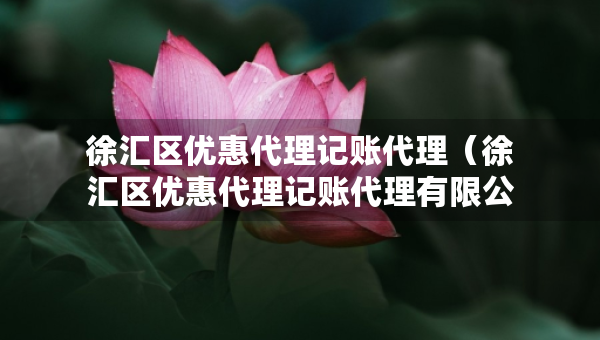 徐汇区优惠代理记账代理（徐汇区优惠代理记账代理有限公司）