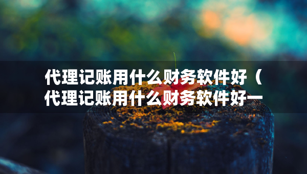 代理记账用什么财务软件好（代理记账用什么财务软件好一点）