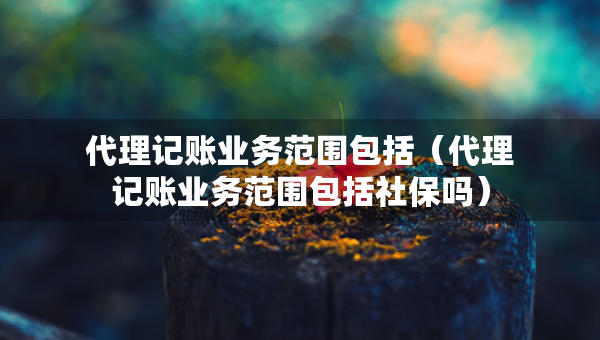 代理记账业务范围包括（代理记账业务范围包括社保吗）