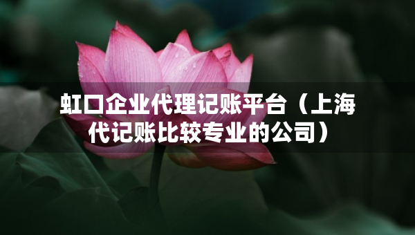 虹口企业代理记账平台（上海代记账比较专业的公司）