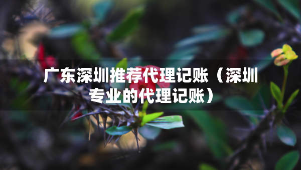 广东深圳推荐代理记账（深圳专业的代理记账）