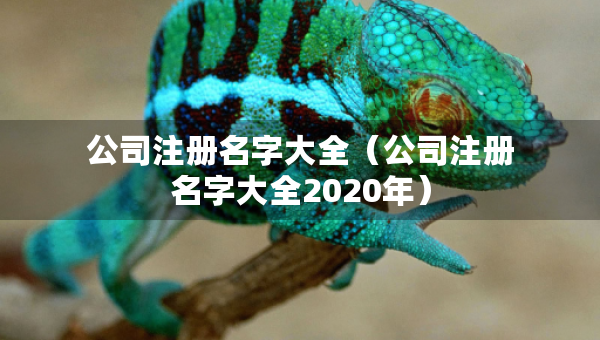 公司注册名字大全（公司注册名字大全2020年）