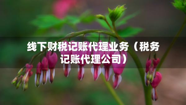 线下财税记账代理业务（税务记账代理公司）