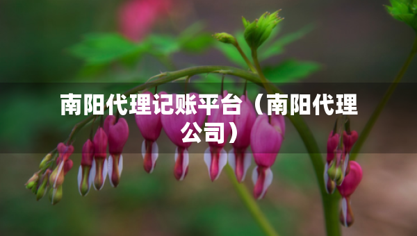 南阳代理记账平台（南阳代理公司）