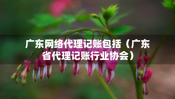 广东网络代理记账包括（广东省代理记账行业协会）