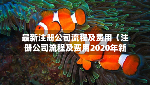 最新注册公司流程及费用（注册公司流程及费用2020年新政策）