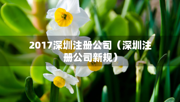 2017深圳注册公司（深圳注册公司新规）