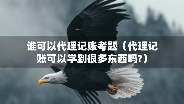 谁可以代理记账考题（代理记账可以学到很多东西吗?）