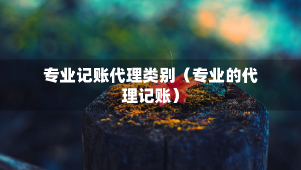 专业记账代理类别（专业的代理记账）