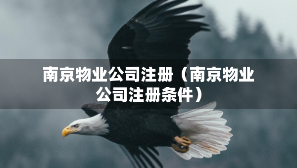 南京物业公司注册（南京物业公司注册条件）