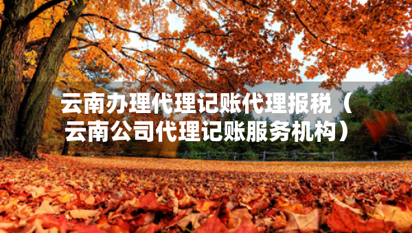 云南办理代理记账代理报税（云南公司代理记账服务机构）