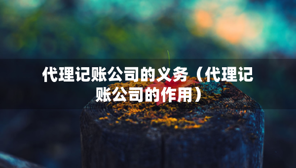 代理记账公司的义务（代理记账公司的作用）