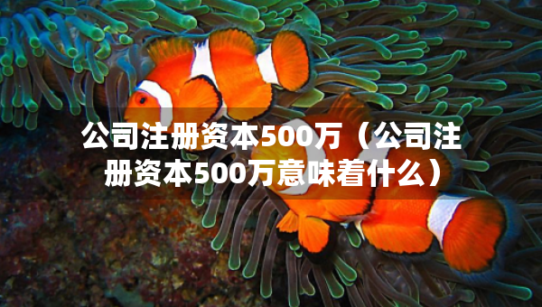 公司注册资本500万（公司注册资本500万意味着什么）