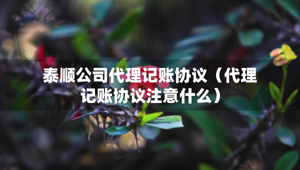 泰顺公司代理记账协议（代理记账协议注意什么）