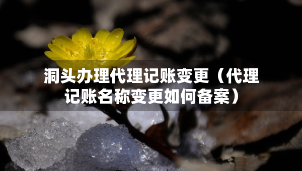 洞头办理代理记账变更（代理记账名称变更如何备案）