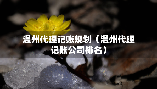 温州代理记账规划（温州代理记账公司排名）