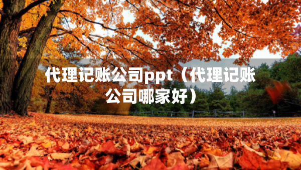 代理记账公司ppt（代理记账公司哪家好）