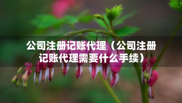 公司注册记账代理（公司注册记账代理需要什么手续）