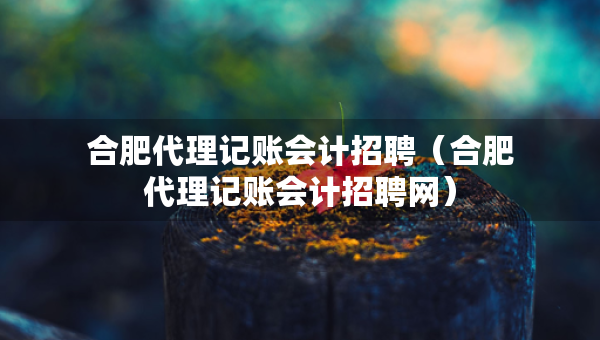 合肥代理记账会计招聘（合肥代理记账会计招聘网）