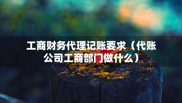 工商财务代理记账要求（代账公司工商部门做什么）