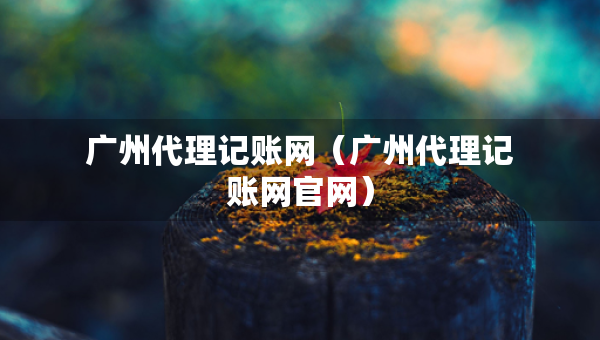 广州代理记账网（广州代理记账网官网）