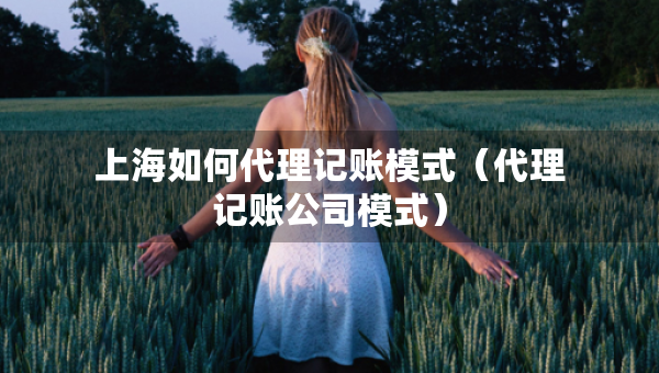 上海如何代理记账模式（代理记账公司模式）