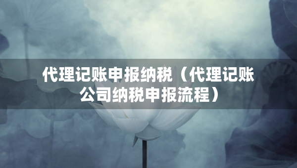 代理记账申报纳税（代理记账公司纳税申报流程）