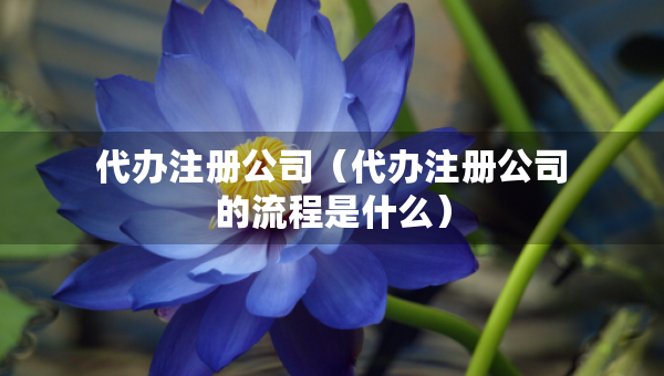 代办注册公司（代办注册公司的流程是什么）