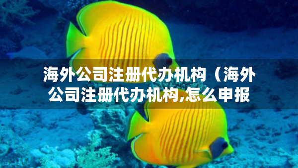 海外公司注册代办机构（海外公司注册代办机构,怎么申报）