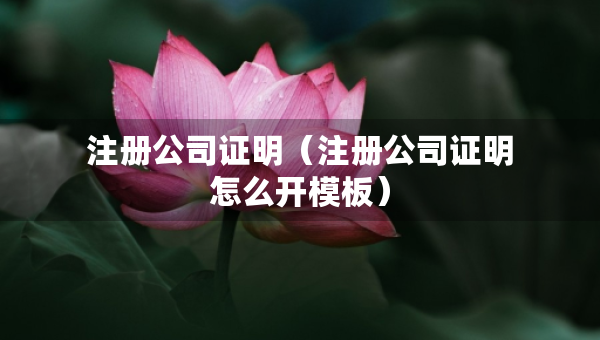 注册公司证明（注册公司证明怎么开模板）