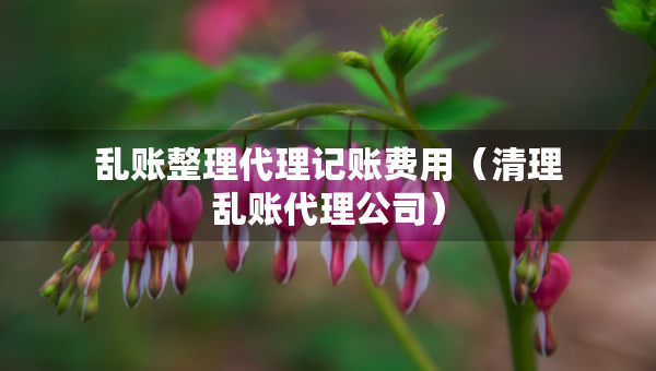 乱账整理代理记账费用（清理乱账代理公司）