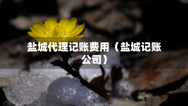 盐城代理记账费用（盐城记账公司）