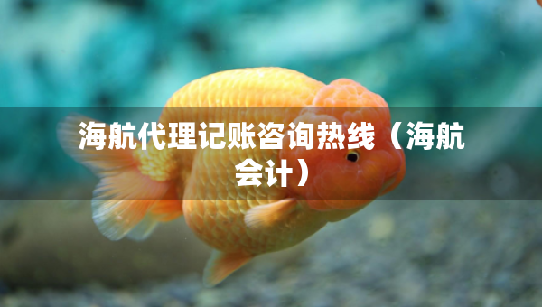 海航代理记账咨询热线（海航会计）