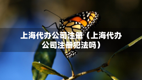 上海代办公司注册（上海代办公司注册犯法吗）