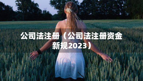 公司法注册（公司法注册资金新规2023）