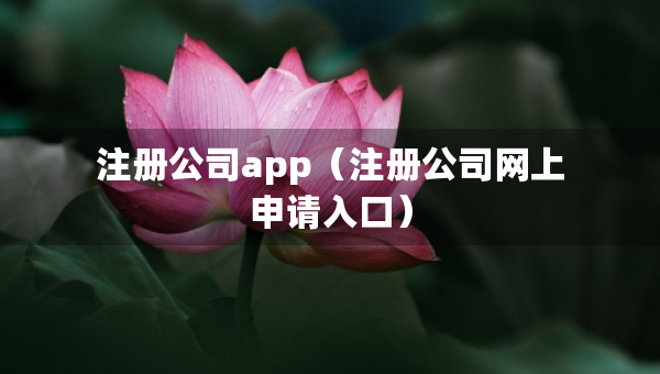 注册公司app（注册公司网上申请入口）