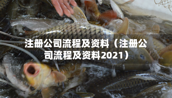 注册公司流程及资料（注册公司流程及资料2021）