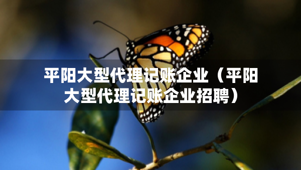 平阳大型代理记账企业（平阳大型代理记账企业招聘）