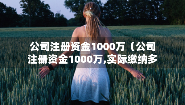 公司注册资金1000万（公司注册资金1000万,实际缴纳多少税）