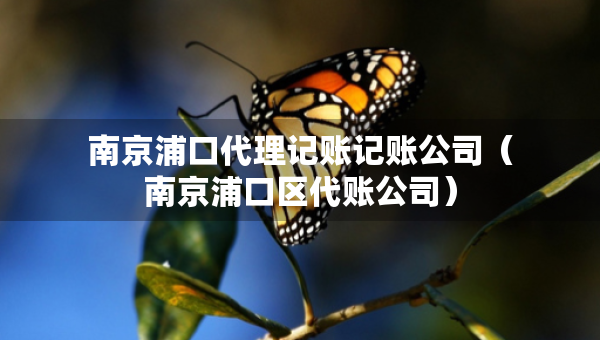 南京浦口代理记账记账公司（南京浦口区代账公司）