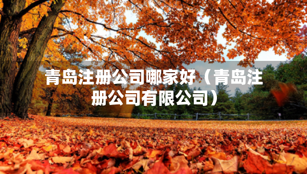 青岛注册公司哪家好（青岛注册公司有限公司）