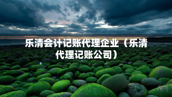 乐清会计记账代理企业（乐清代理记账公司）