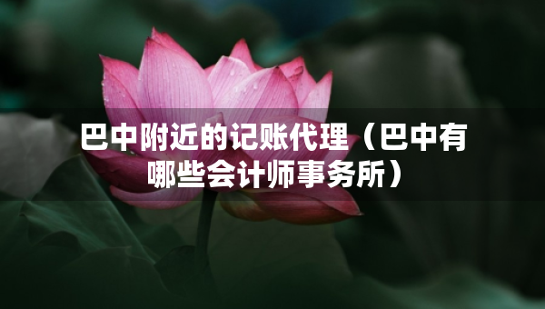 巴中附近的记账代理（巴中有哪些会计师事务所）