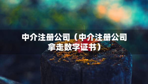 中介注册公司（中介注册公司拿走数字证书）