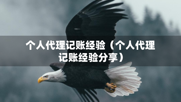 个人代理记账经验（个人代理记账经验分享）