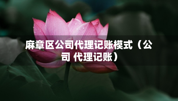 麻章区公司代理记账模式（公司 代理记账）