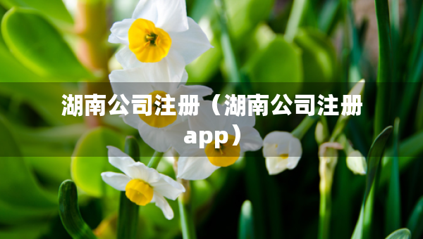 湖南公司注册（湖南公司注册app）