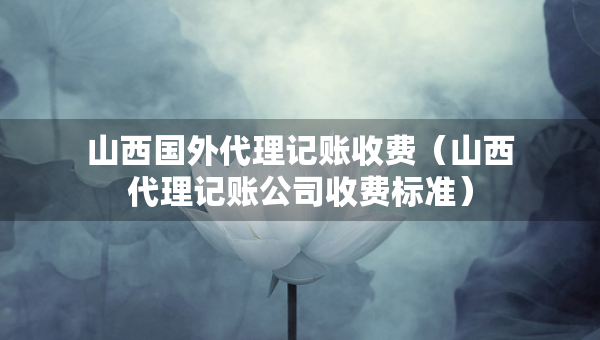 山西国外代理记账收费（山西代理记账公司收费标准）