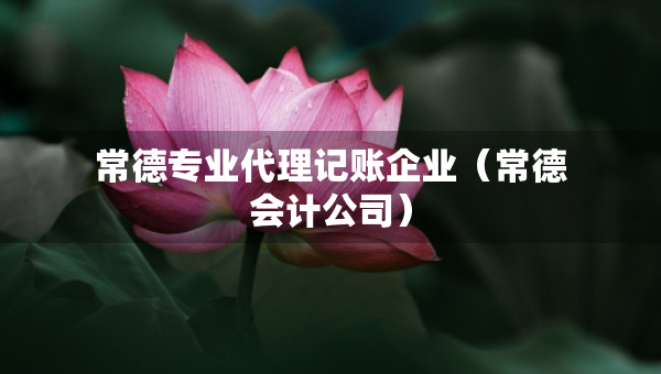 常德专业代理记账企业（常德会计公司）