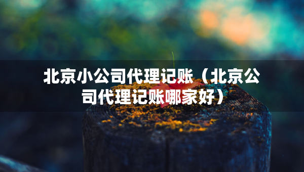 北京小公司代理记账（北京公司代理记账哪家好）